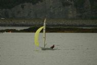 RS Vareo in action